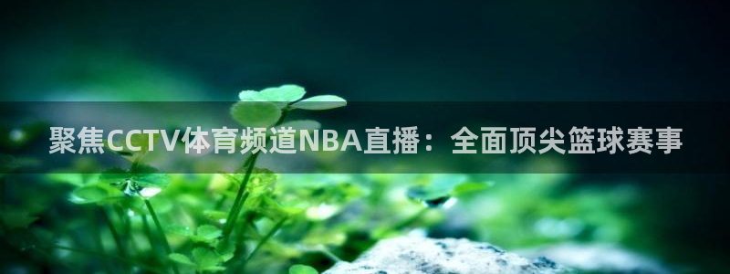 聚焦CCTV体育频道NBA直播：全面顶尖篮球赛事
