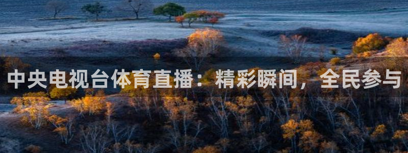 中央电视台体育直播：精彩瞬间，全民参与