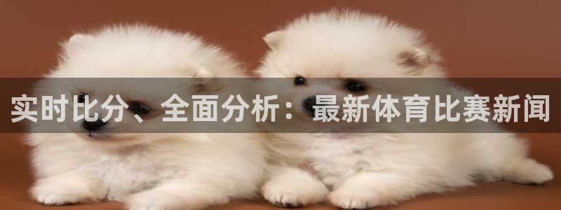 实时比分、全面分析：最新体育比赛新闻