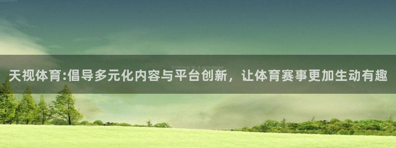 天视体育:倡导多元化内容与平台创新，让体育赛事更加生动有趣