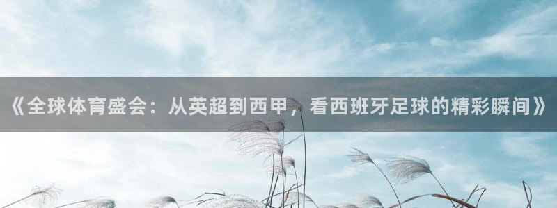 《全球体育盛会：从英超到西甲，看西班牙足球的精彩瞬间》