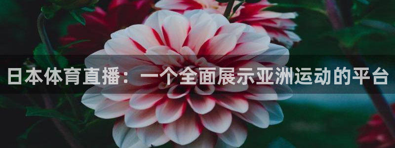 日本体育直播：一个全面展示亚洲运动的平台