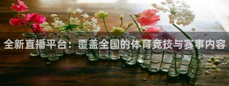 全新直播平台：覆盖全国的体育竞技与赛事内容