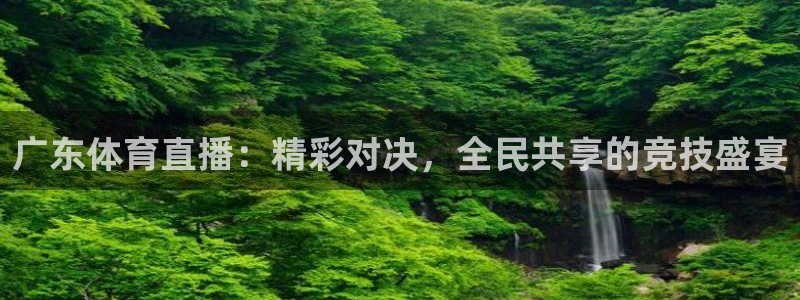 广东体育直播：精彩对决，全民共享的竞技盛宴