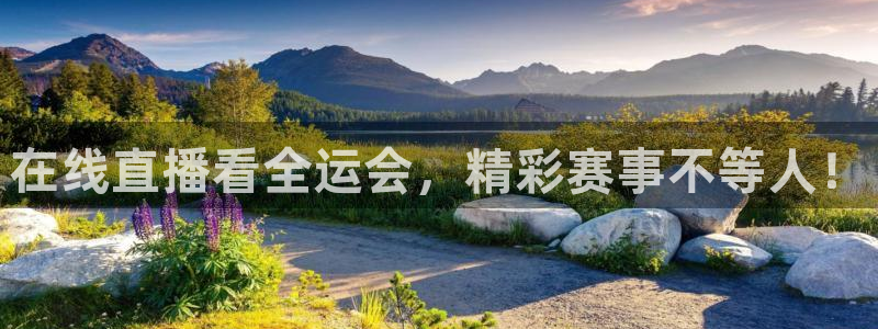 在线直播看全运会，精彩赛事不等人！