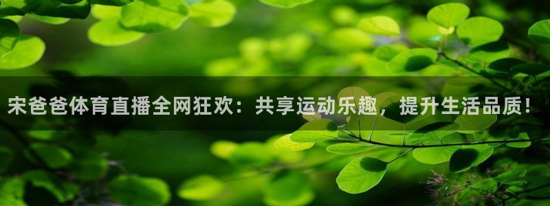 宋爸爸体育直播全网狂欢：共享运动乐趣，提升生活品质！