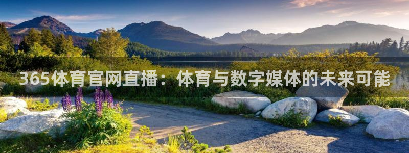 365体育官网直播：体育与数字媒体的未来可能