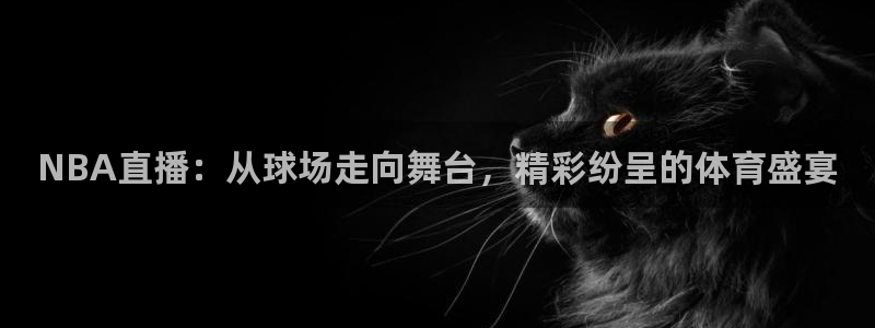 NBA直播：从球场走向舞台，精彩纷呈的体育盛宴