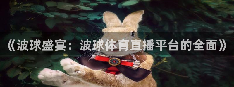 《波球盛宴：波球体育直播平台的全面》