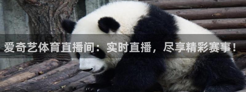 爱奇艺体育直播间：实时直播，尽享精彩赛事！